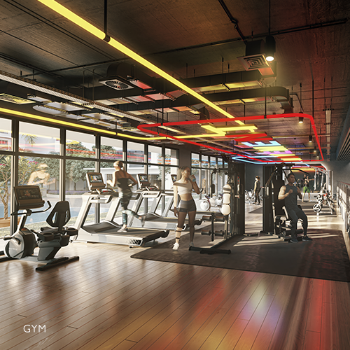 Gym
